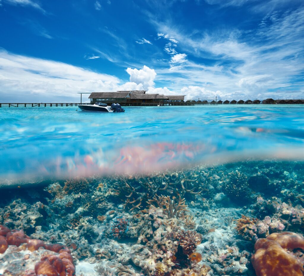 Beach with coral reef underwater view