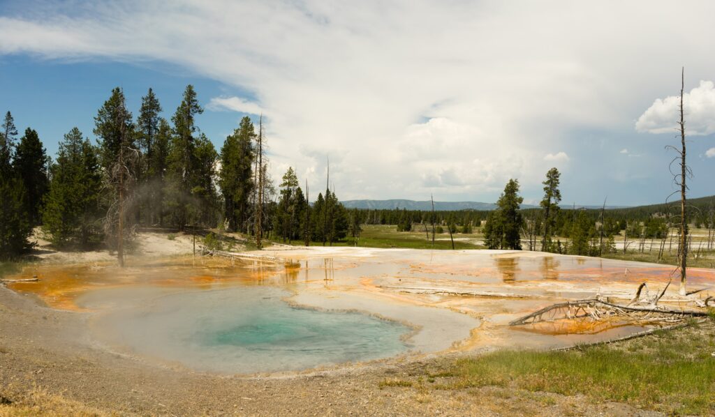 Hot Mineral Springs Bubble and Boil Yellowstone National Park