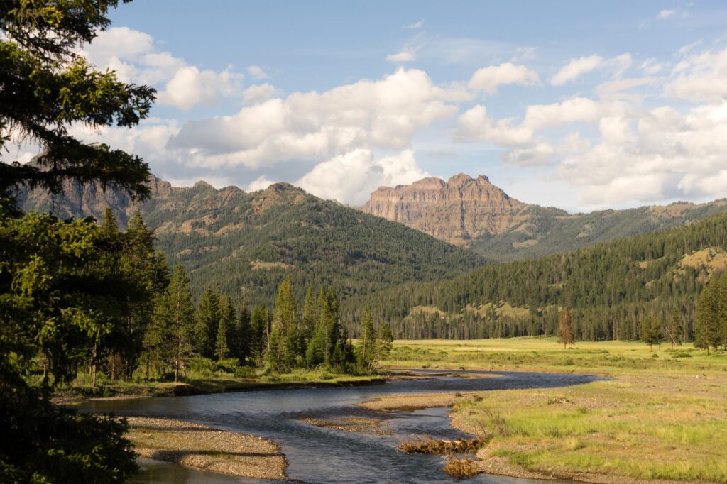 Lamer River Flows Through Valley Yellowstone National Park