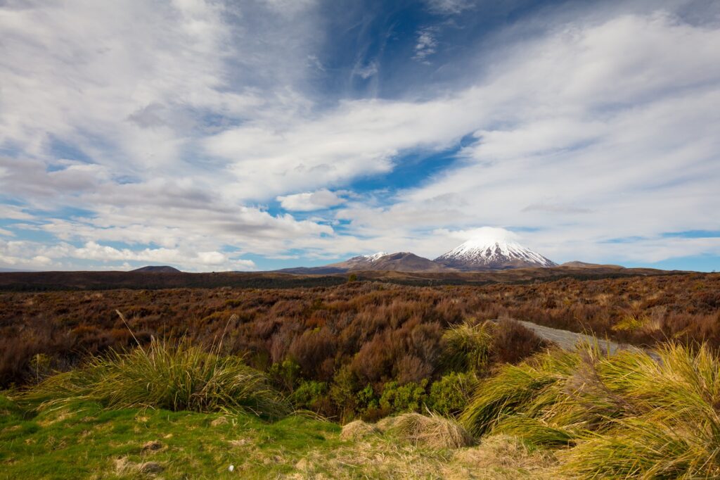 Mt Ngauruhoe Landscape