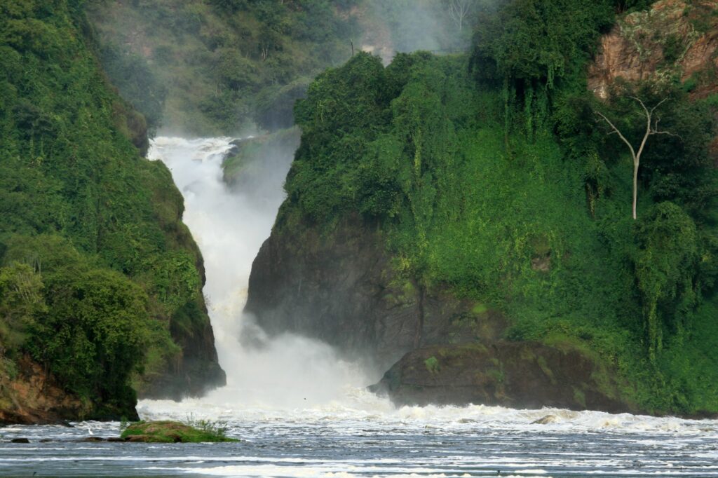 Murchison Falls NP, Uganda, Africa