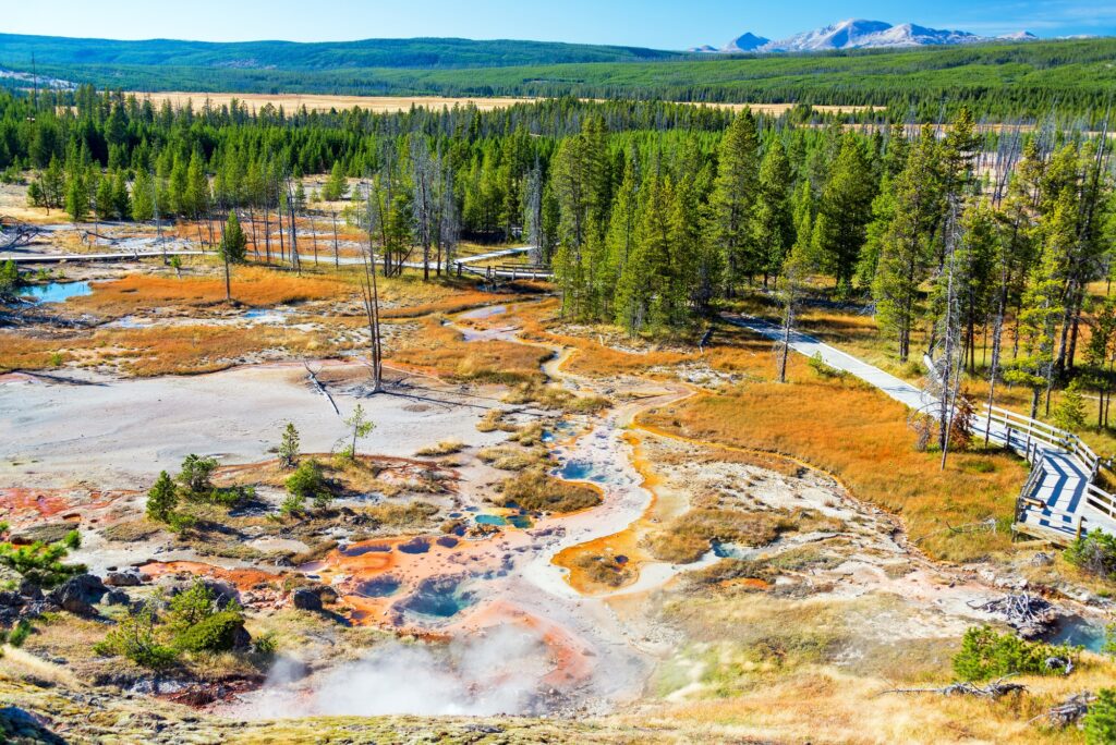 Norris Geyser Basin Landscape